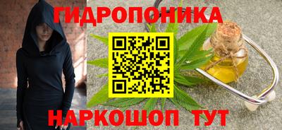 прущие грибы Шахты