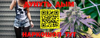 прущие грибы Шахты
