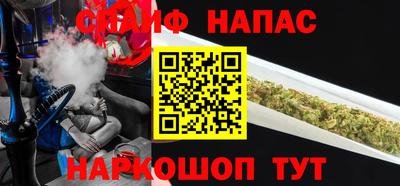 прущие грибы Шахты