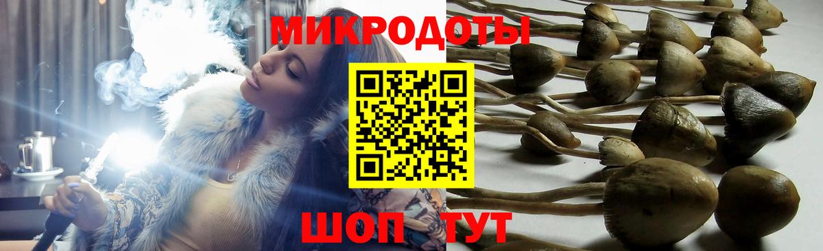 Псилоцибиновые грибы MAGIC MUSHROOMS  Псилоцибиновые грибы мицелий  Волжск  купить  сайты  Вход с VPN 